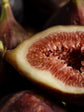 Fig Tree